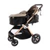 tiago deluxe 2 in 1 stroller